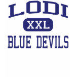 Lodi Blue Devils Area Lodi Wisconsin