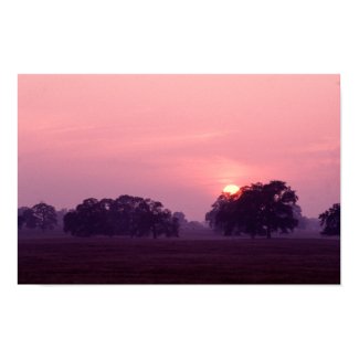 Lodi Farm print