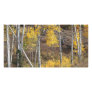 Log Fence in Autumn Woods Photo Cards
