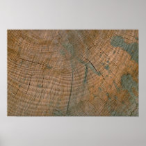 Log, grain print