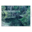 Log in River cards