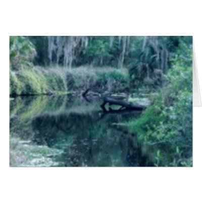 Log in River Greeting Card by roimim