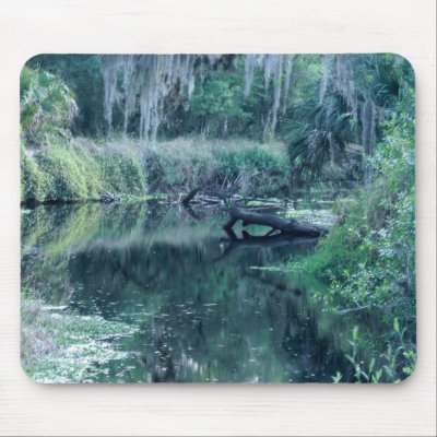 Log in River Mouse Pad by roimim