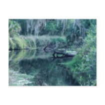 Log in River postcards