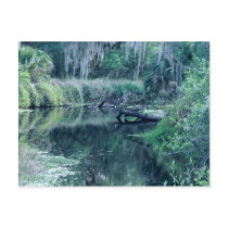 Log in River postcards