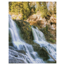 Log in the Falls Custom Flyer