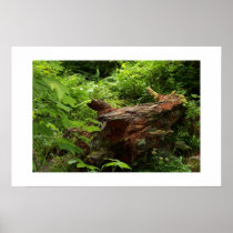 Log in the woods. posters