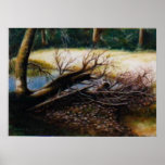 Log Jam posters