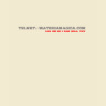 Log On Telnet - Woman Shirt