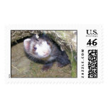 Logan1 postage