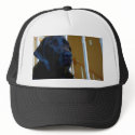 Logan2 hats