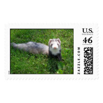 Logan2 postage