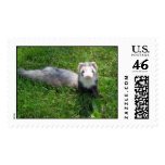 Logan2 postage