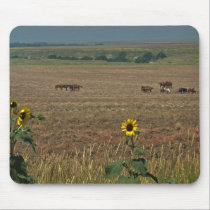 Logan County Horses mousepads