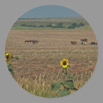 Logan County Horses stickers by wksimages Logan County Horses stickers