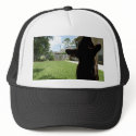 Logan hats