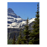 Logan Pass In Glacier National Park Postcard