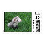 Logan postage