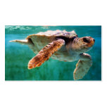 Loggerhead #2 Mini Print Business Cards