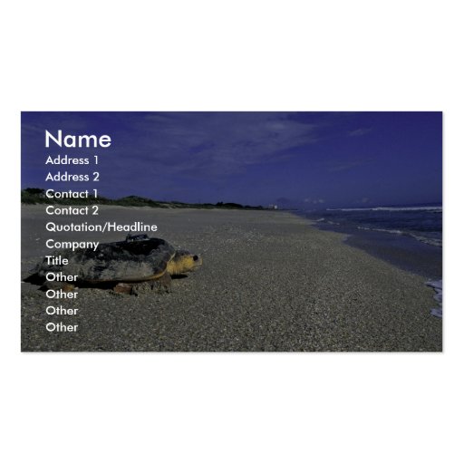 Loggerhead Sea Turtle at Archie Carr National Wild Business Card (front side)