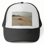 Loggerhead Sea Turtle with Satellite Transmitter Hat