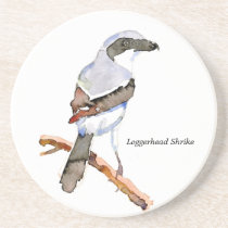 Loggerhead Shrike coaster coasters