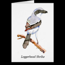 Loggerhead Shrike cards