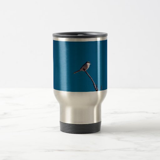 Loggerhead Shrike Mug