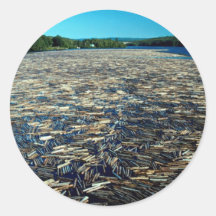 Logging on the Fraser River, British Columbia, Can Sticker