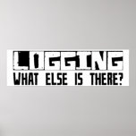 Logging What Else Is There? Poster