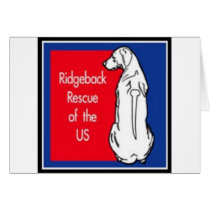 logo cards