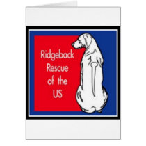 logo cards