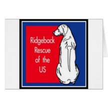 logo greeting cards