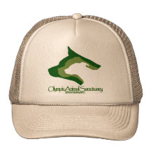 Logo Mesh Hats