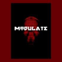 Logo/Skull poster posters