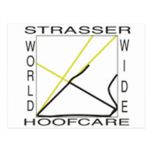 Logoworldwide Postcard