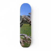 Logs Meadows Skate Board Deck