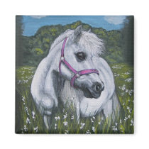 lois the shetland magnets