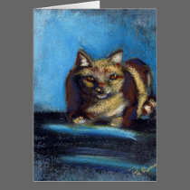 Loki the cat basking in the sun card cards