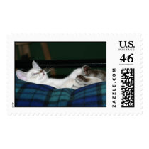 Loki The Wonder Kitten postage by BrideLiz2006 Loki The Wonder Kitten postage