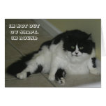LOL Cat card