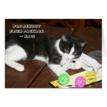 LOL Cat card