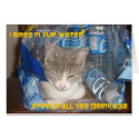 LOL Cat cards by ajolson8503 LOL Cat cards