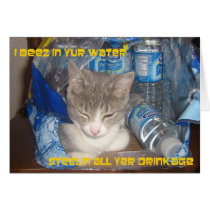 LOL Cat cards by ajolson8503 LOL Cat cards