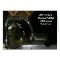 LOL Cat card