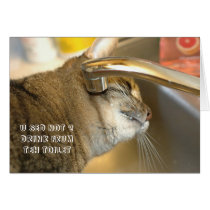 LOL Cat card