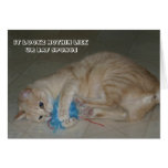 LOL Cat card