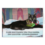 LOL Cat card