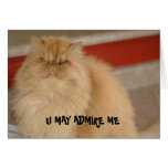 LOL Cat card