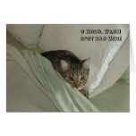 LOL Cat card
